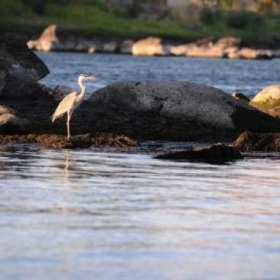 photos de voyageurs
