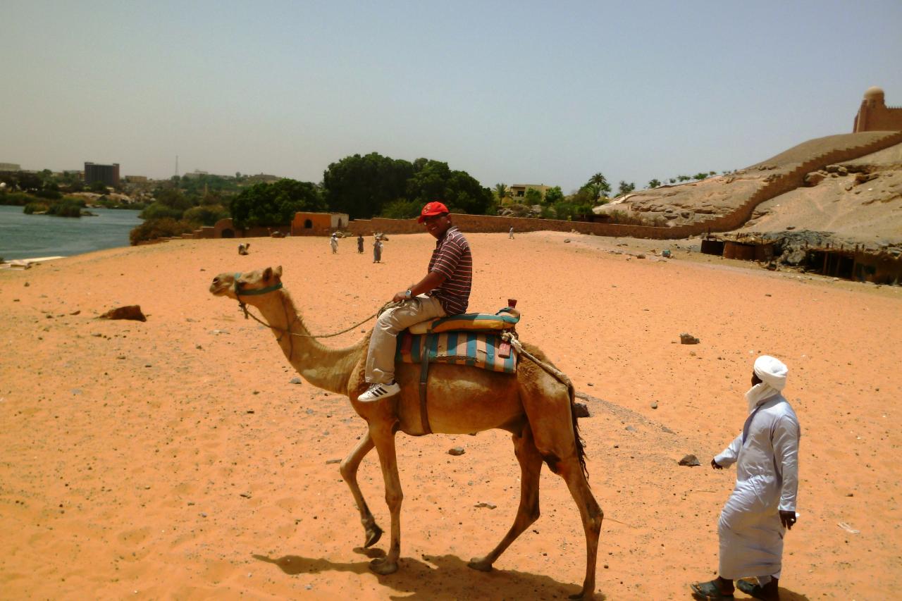 promenade en dromadaire à Assouan